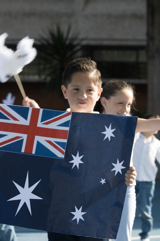 Ir a la Siguiente Foto