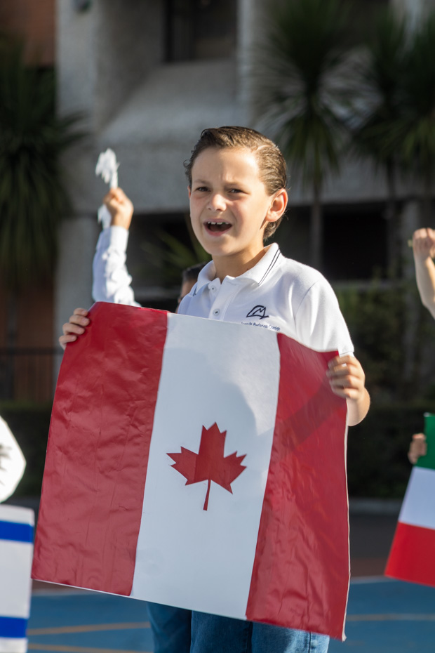 Ir a la Siguiente Foto