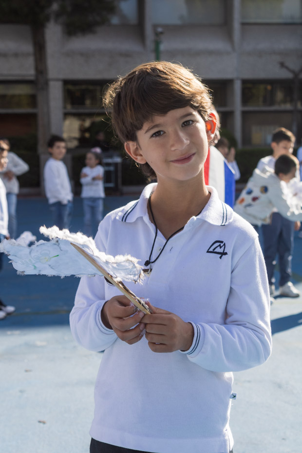 Ir a la Siguiente Foto