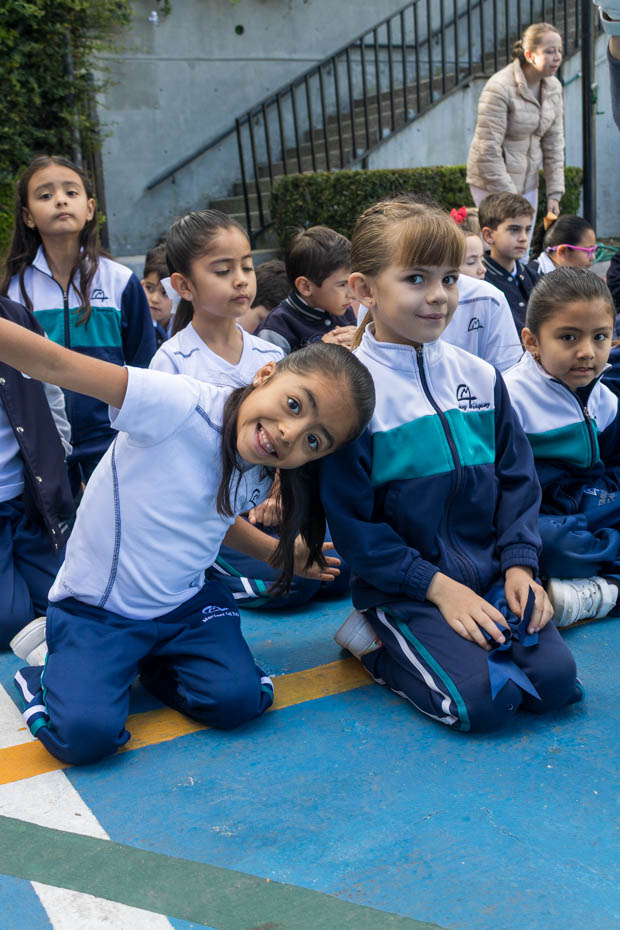 Ir a la Siguiente Foto