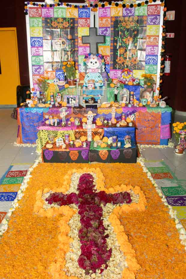 Ir a la Siguiente Foto