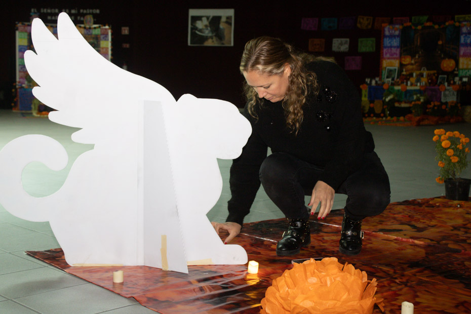 Ir a la Siguiente Foto