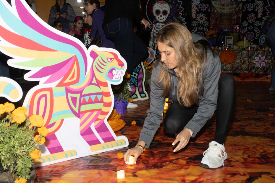 Ir a la Siguiente Foto