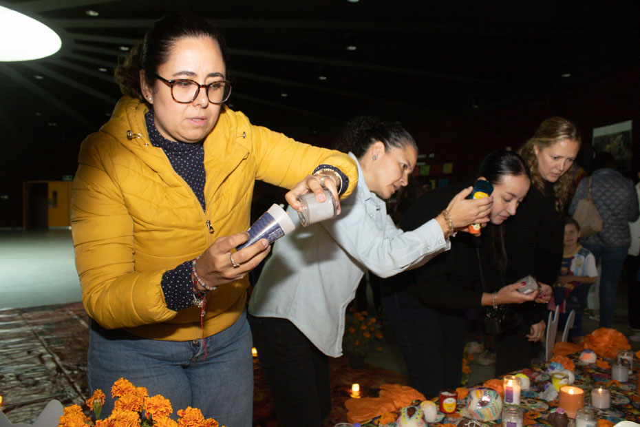 Ir a la Siguiente Foto