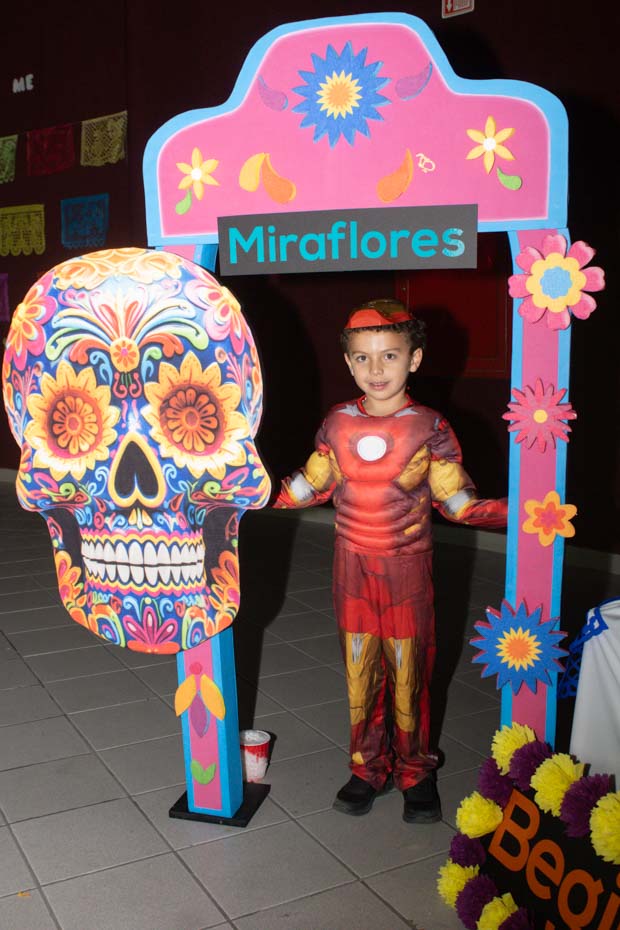 Ir a la Siguiente Foto