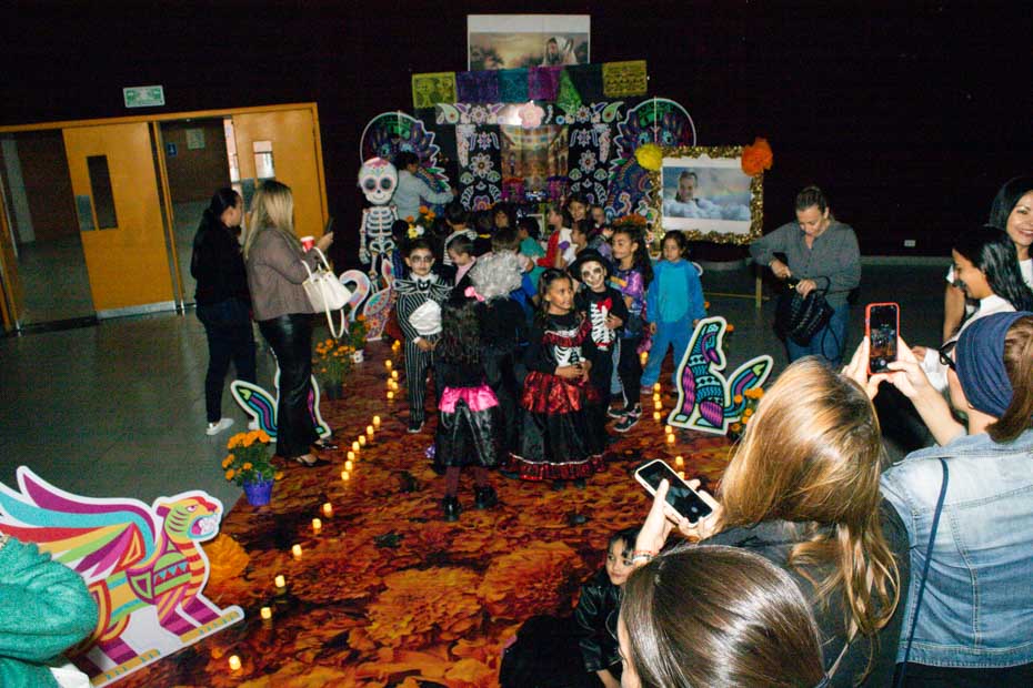 Ir a la Siguiente Foto