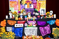 03112025altar_muertos_preescolar20259.jpg