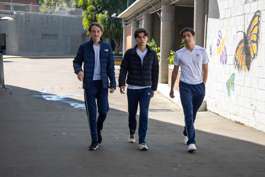 Ir a la Siguiente Foto