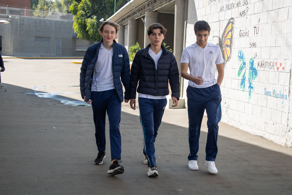 Ir a la Siguiente Foto