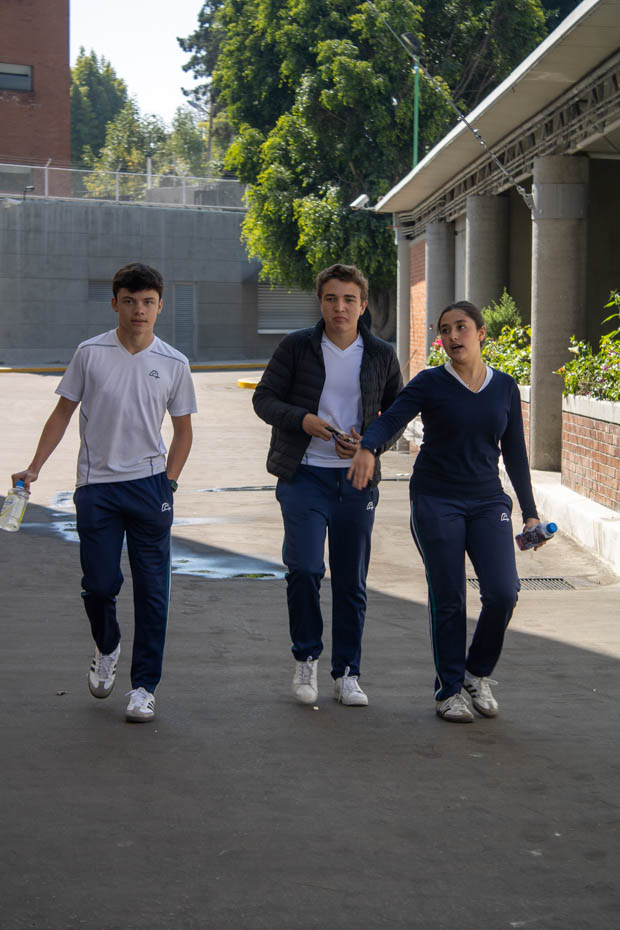 Ir a la Siguiente Foto