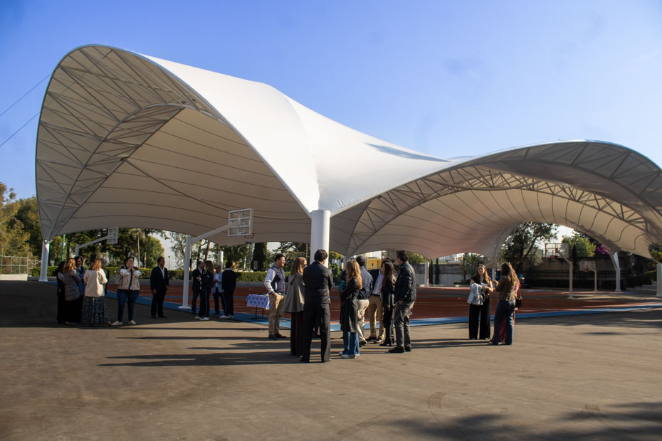 Ir a la Siguiente Foto