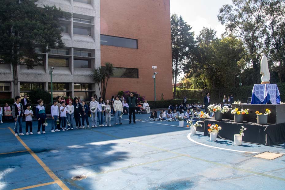 Ir a la Siguiente Foto