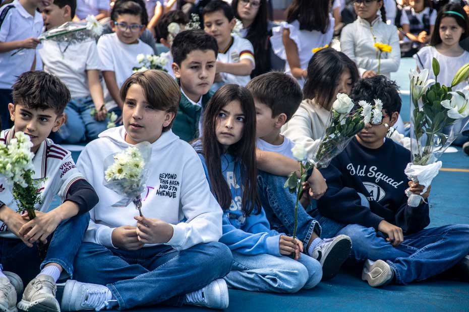 Ir a la Siguiente Foto