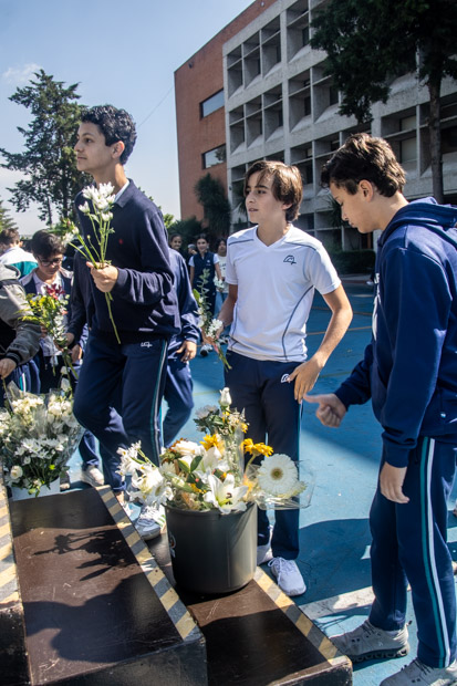 Ir a la Siguiente Foto