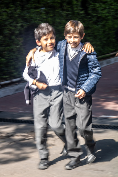 Ir a la Siguiente Foto
