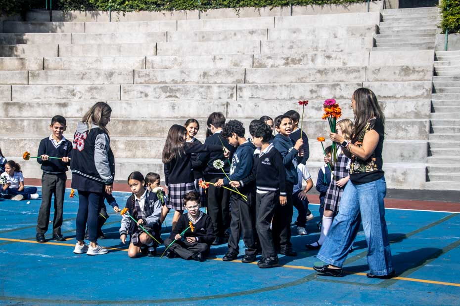 Ir a la Siguiente Foto