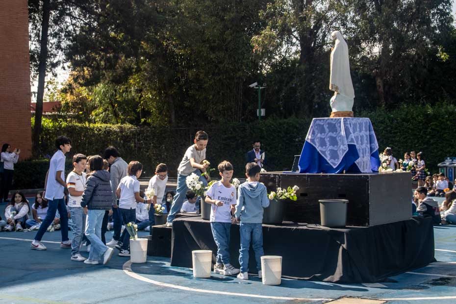 Ir a la Siguiente Foto