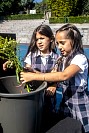 28052026coronacion_virgen2026103.jpg