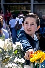 28052026coronacion_virgen2026145.jpg