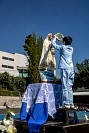 28052026coronacion_virgen2026246.jpg