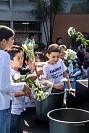 28052026coronacion_virgen202627.jpg