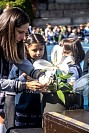 28052026coronacion_virgen202635.jpg