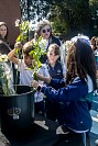 28052026coronacion_virgen202641.jpg