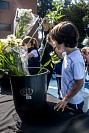 28052026coronacion_virgen202643.jpg