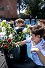 28052026coronacion_virgen202659.jpg