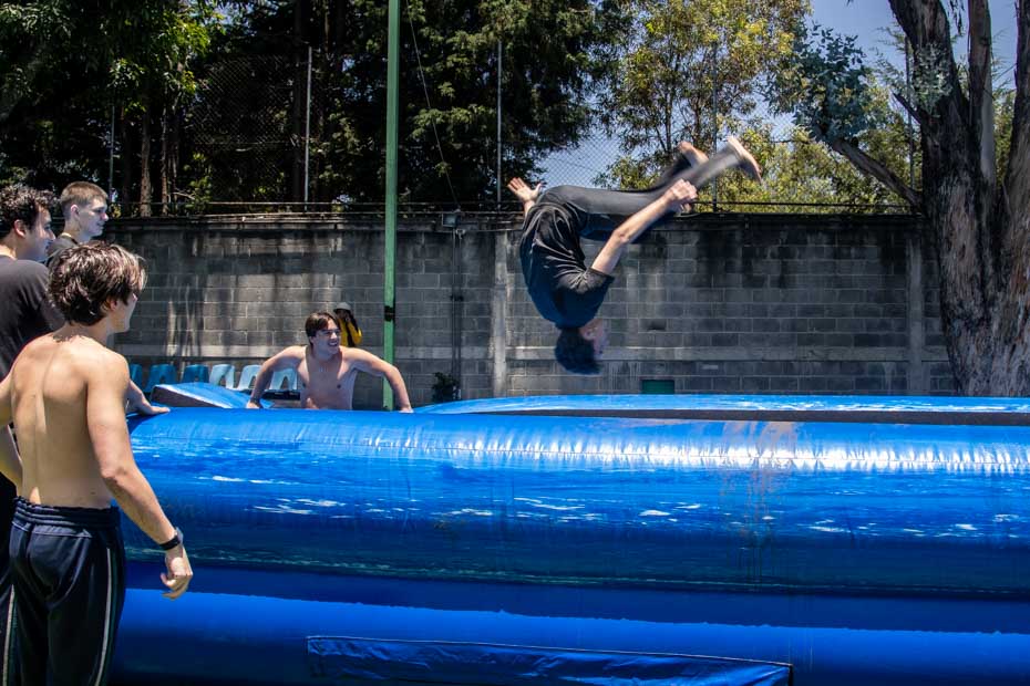 Ir a la Siguiente Foto