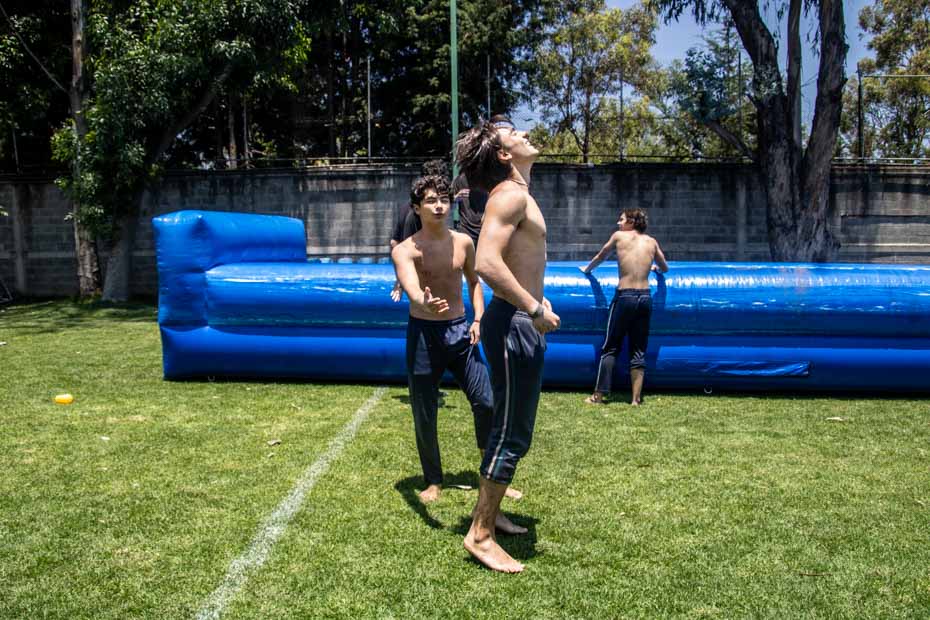 Ir a la Siguiente Foto