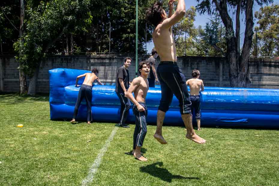 Ir a la Siguiente Foto
