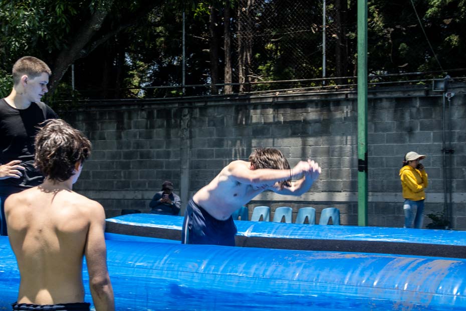 Ir a la Siguiente Foto
