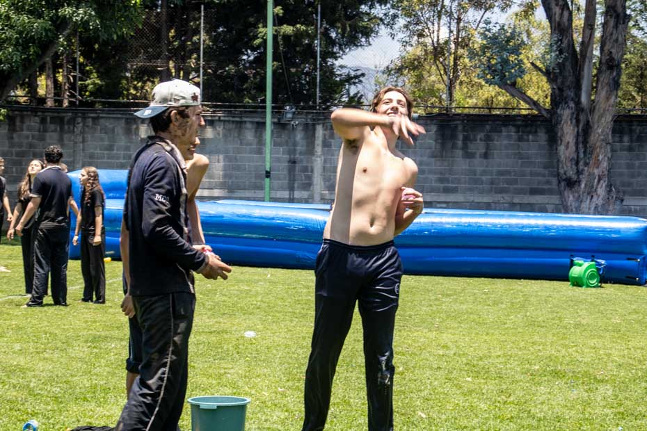 Ir a la Siguiente Foto