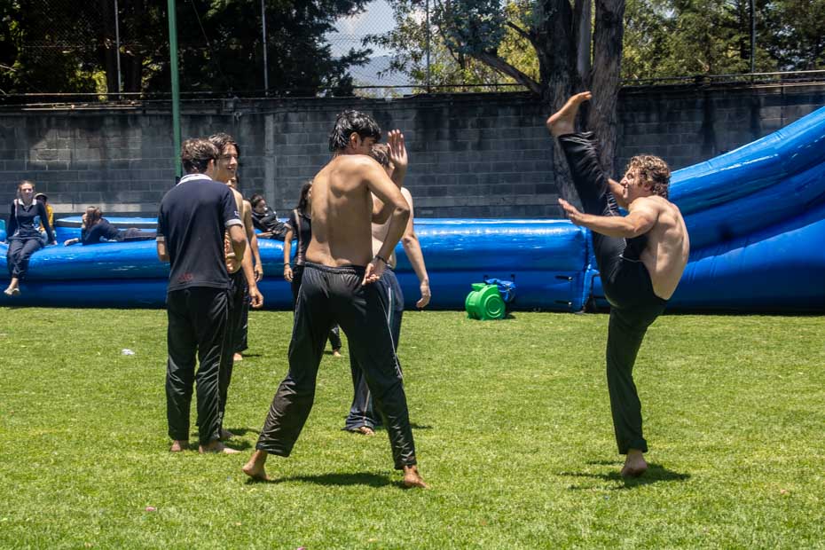 Ir a la Siguiente Foto