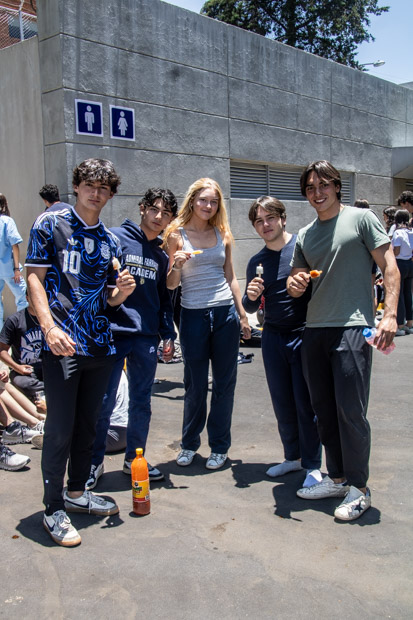 Ir a la Siguiente Foto