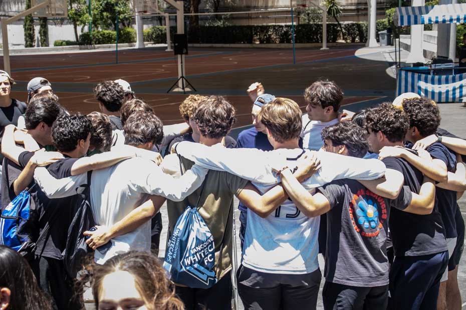 Ir a la Siguiente Foto