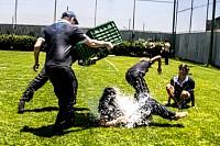 14052026despedida_5tos_6tosbach2026272.jpg