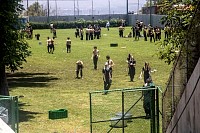 14052026despedida_5tos_6tosbach2026412.jpg