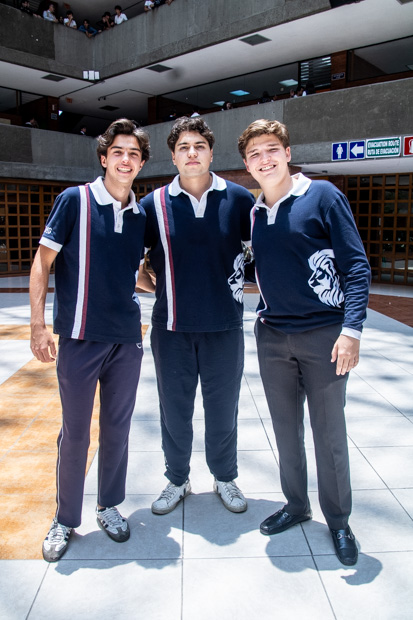 Ir a la Siguiente Foto