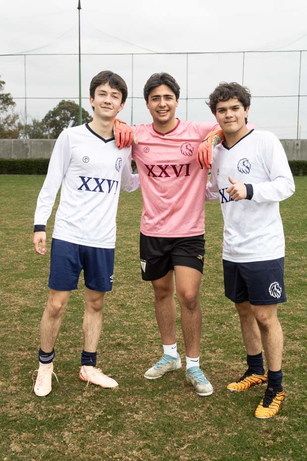 Ir a la Siguiente Foto