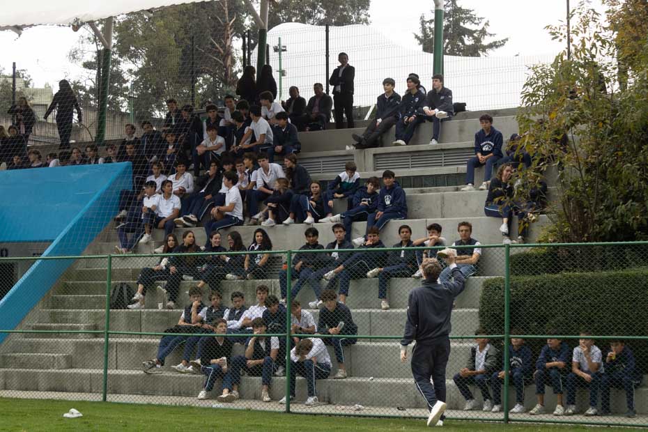 Ir a la Siguiente Foto