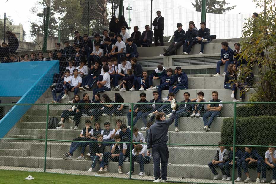 Ir a la Siguiente Foto