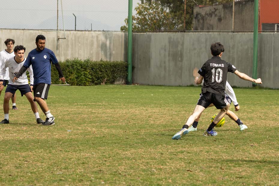 Ir a la Siguiente Foto
