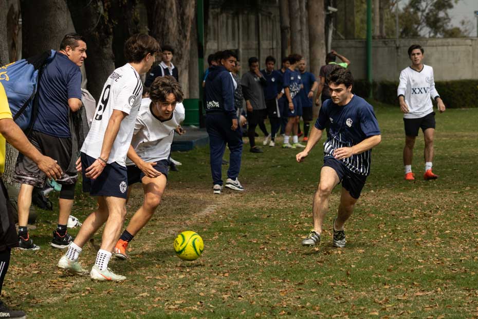 Ir a la Siguiente Foto