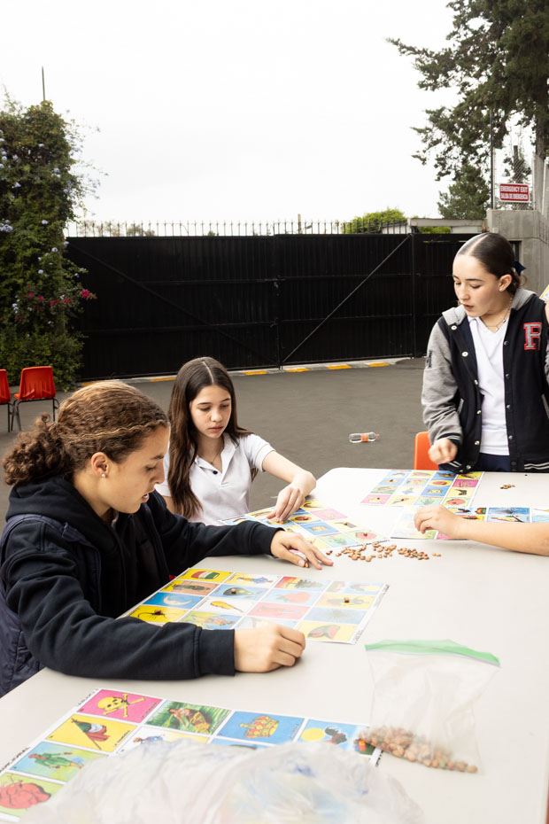 Ir a la Siguiente Foto