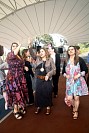 08052026dia_maestros2026297.jpg