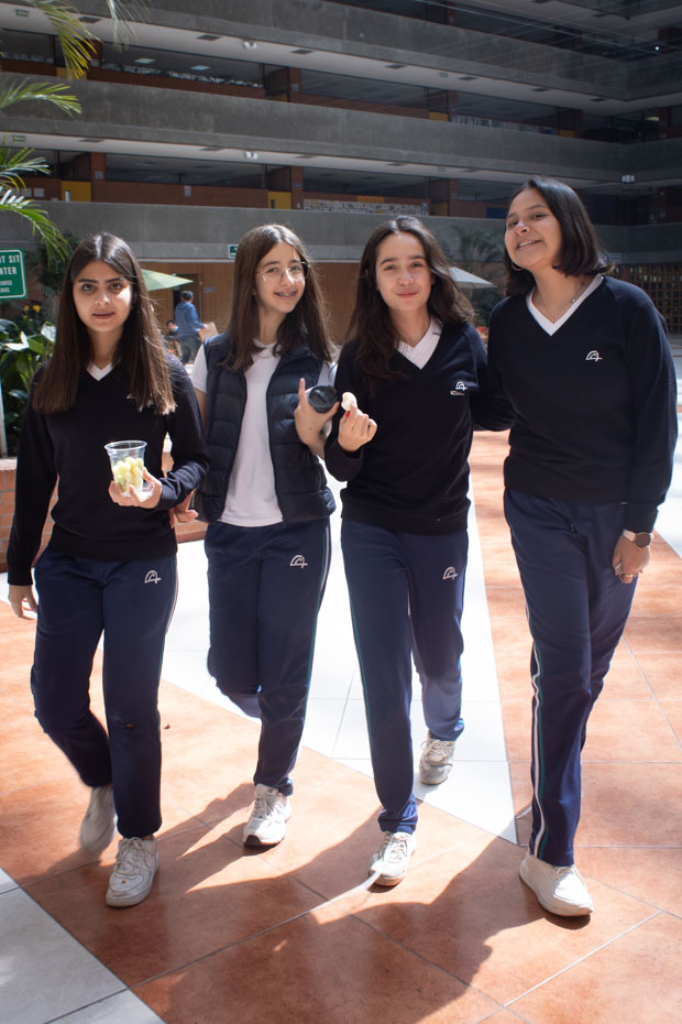 Ir a la Siguiente Foto