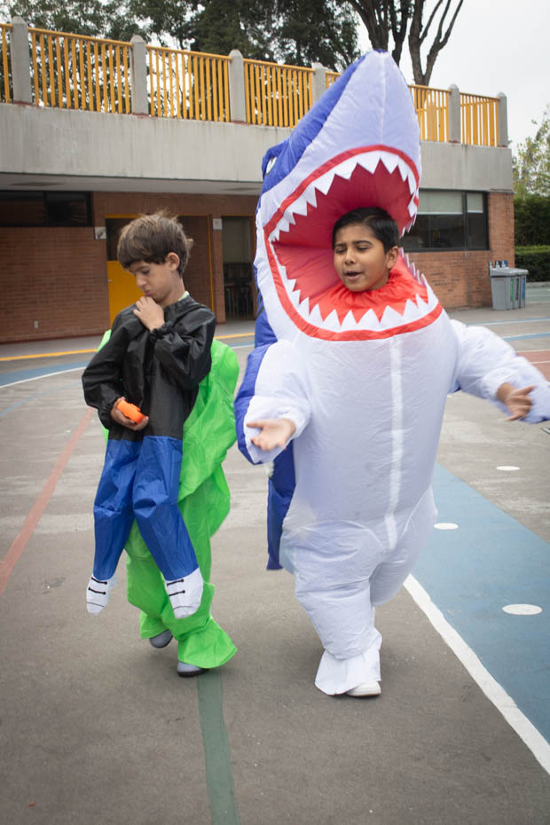 Ir a la Siguiente Foto