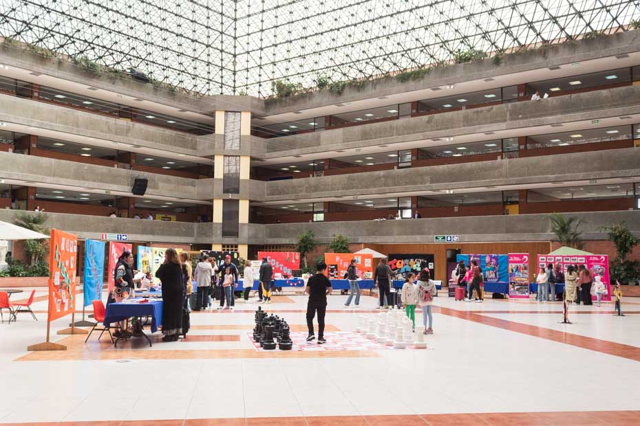 Ir a la Siguiente Foto